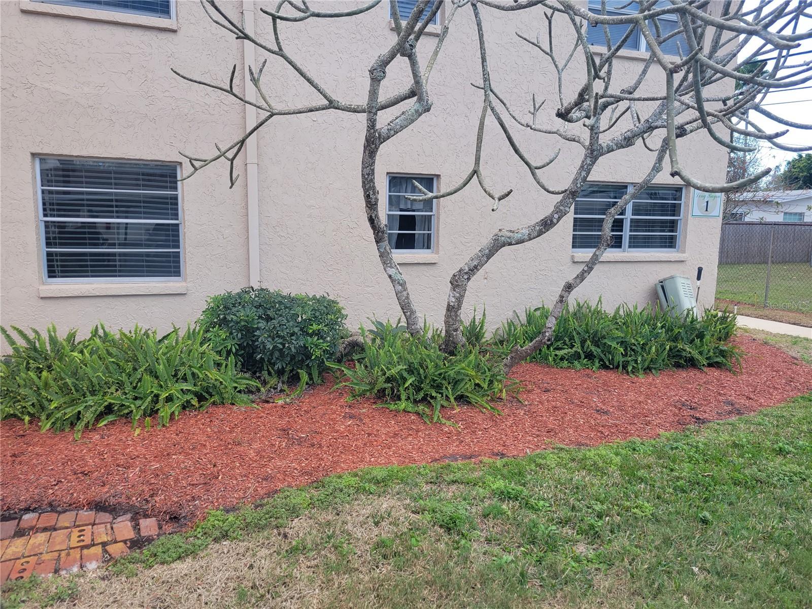 Listing photo id 55 for 10032 65th Avenue N 8