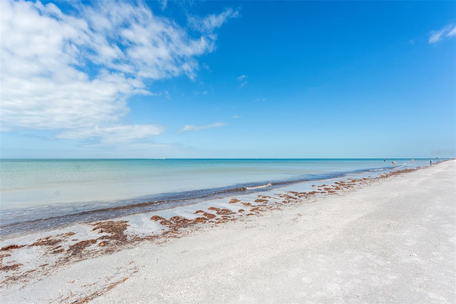 Image 28 of 37 For 2700 Gulf Boulevard 1e