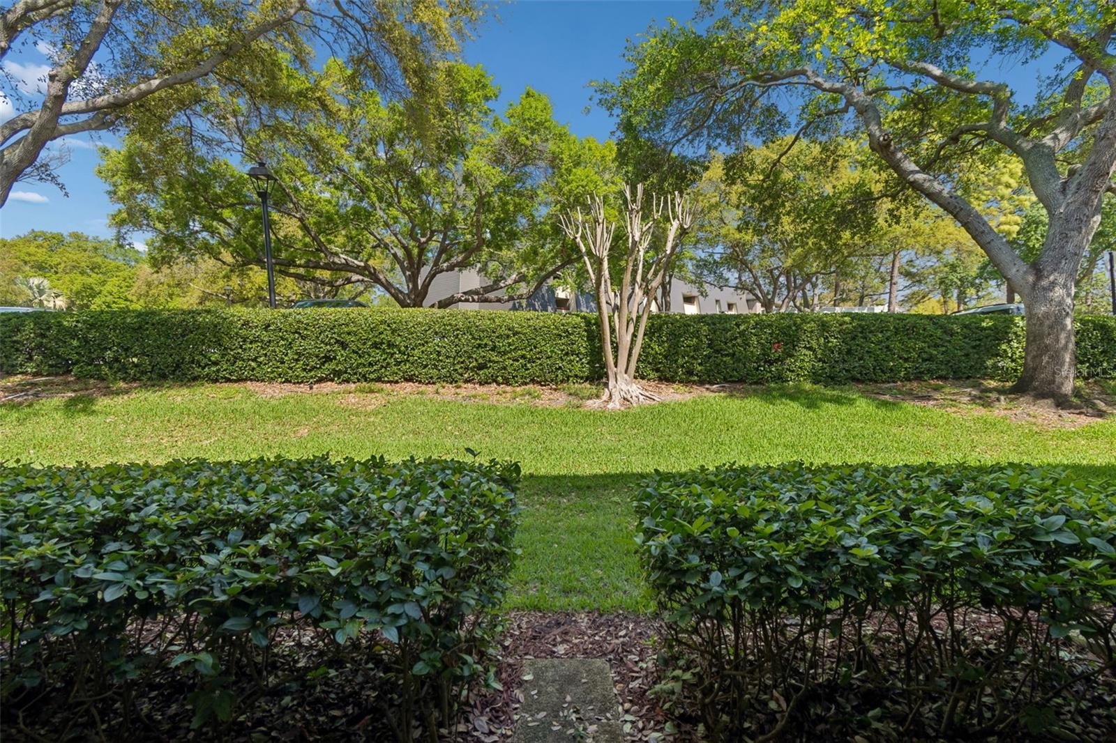 Image 25 of 53 For 36750 Us Highway 19 N 13118