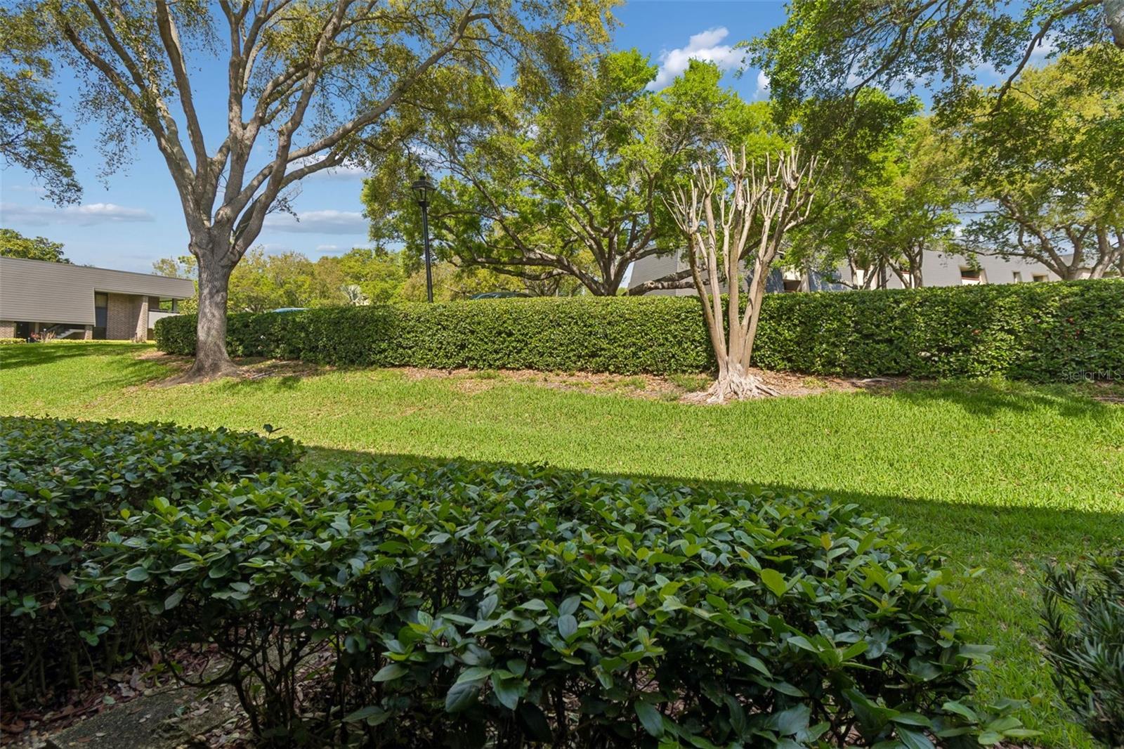 Image 26 of 53 For 36750 Us Highway 19 N 13118