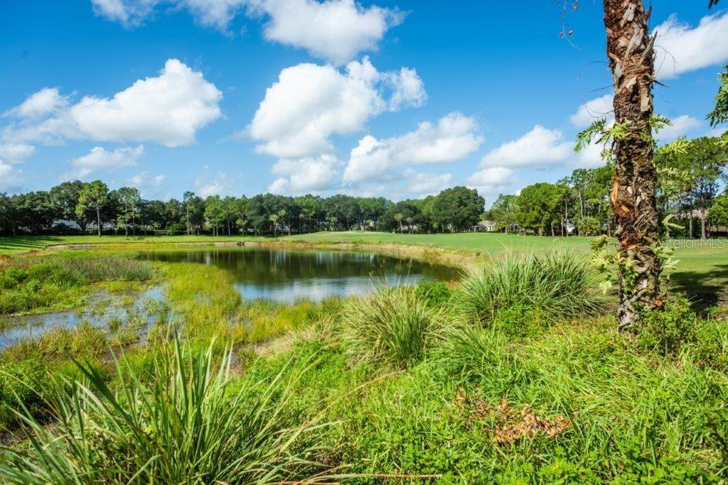 Image 72 of 90 For 5215 Fairway One Drive