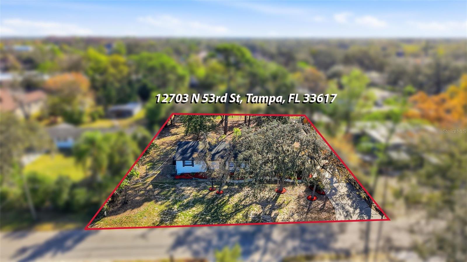 Image 45 of 49 For 12703 53rd Street