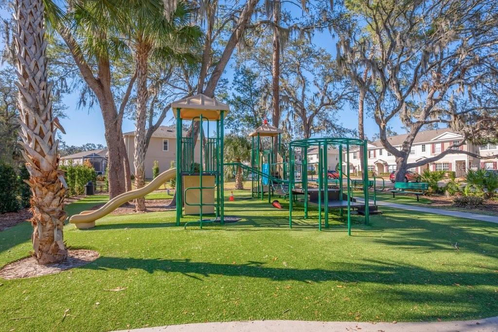 Image 23 of 30 For 15844 Fishhawk Falls Drive