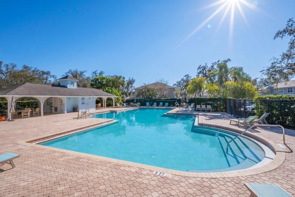 Image 24 of 30 For 15844 Fishhawk Falls Drive