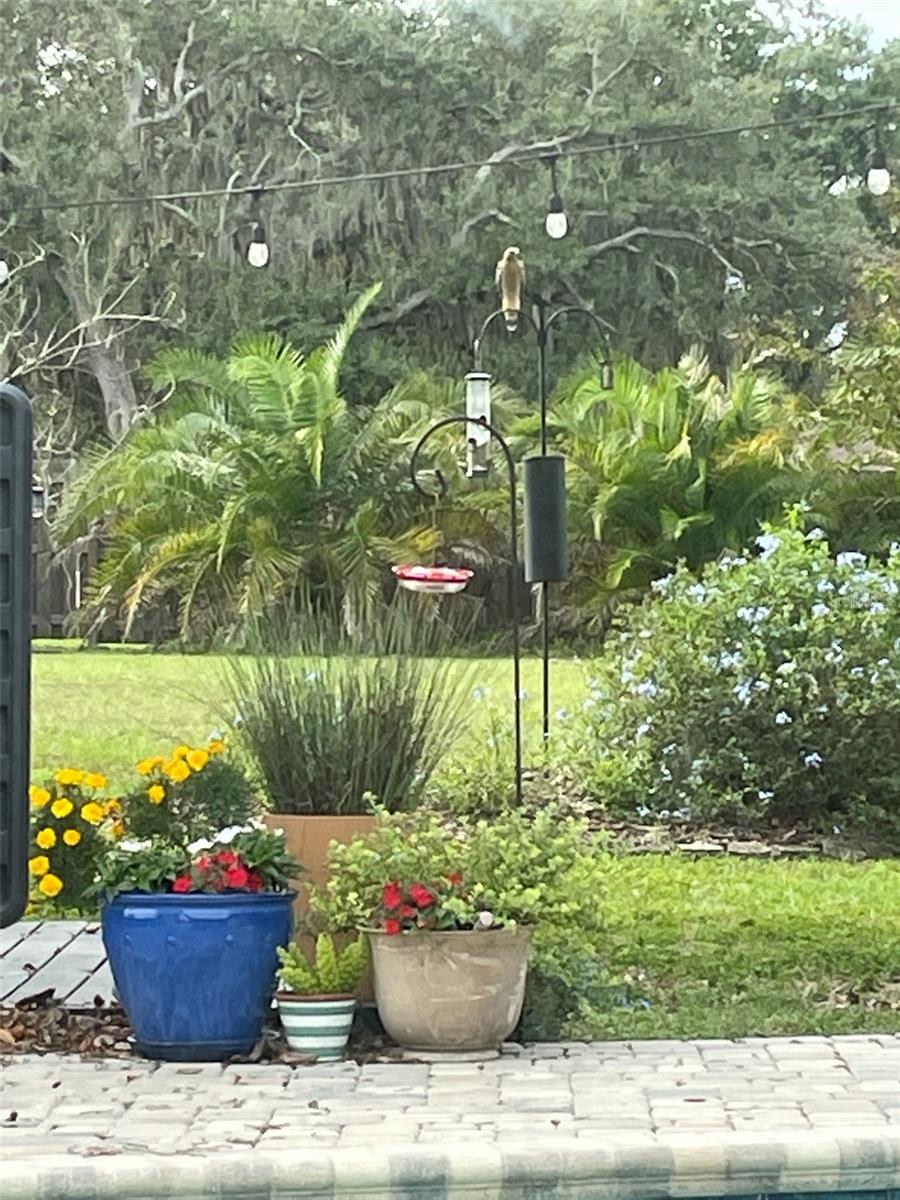 Listing photo id 27 for 9416 Bellhaven Street