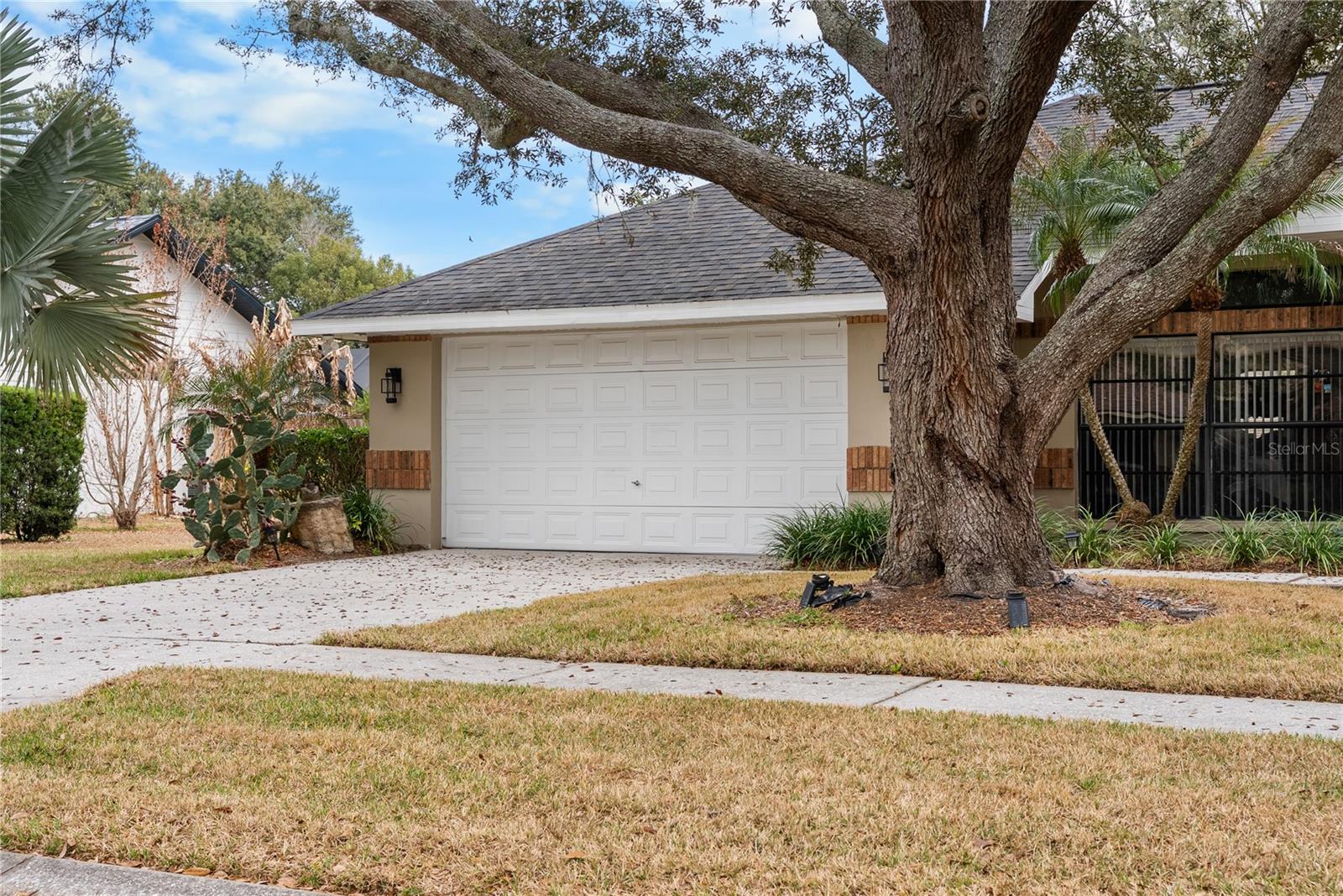 Image 83 of 85 For 1619 Palace Court