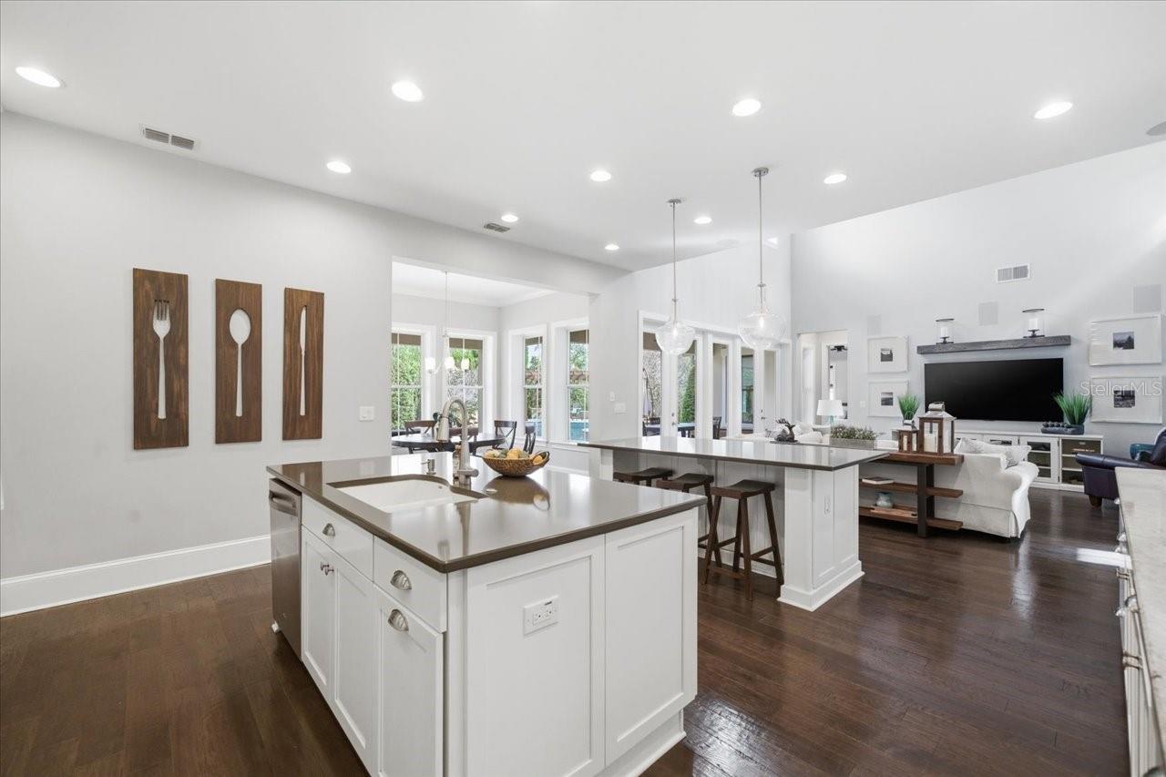 Image 32 of 97 For 14910 Fishhawk Preserve Drive