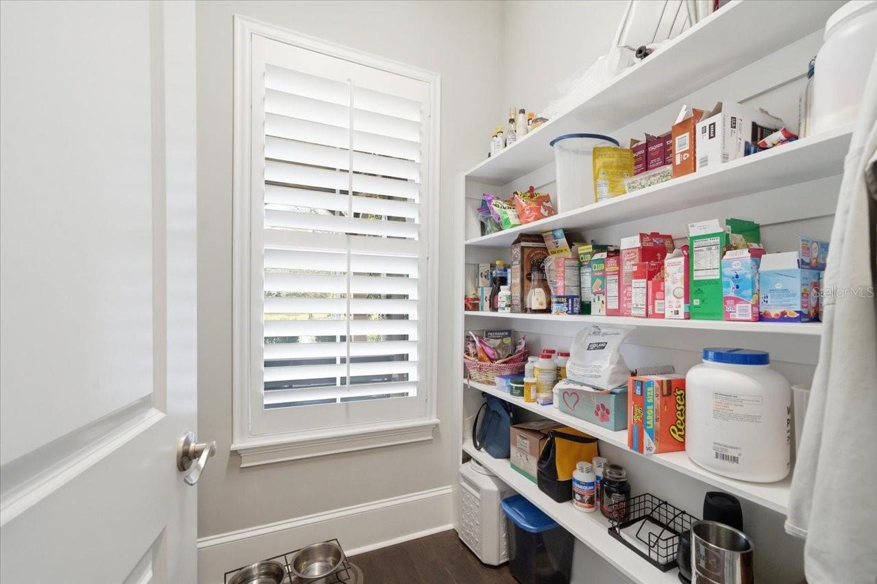 Image 35 of 97 For 14910 Fishhawk Preserve Drive