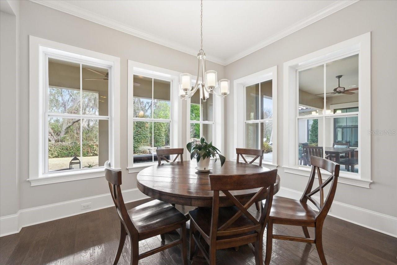 Image 36 of 97 For 14910 Fishhawk Preserve Drive