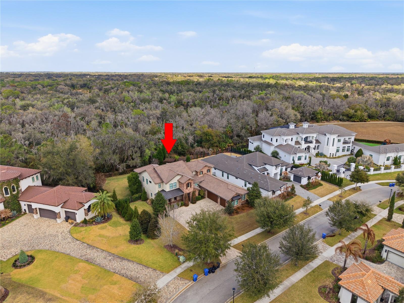 Image 95 of 97 For 14910 Fishhawk Preserve Drive