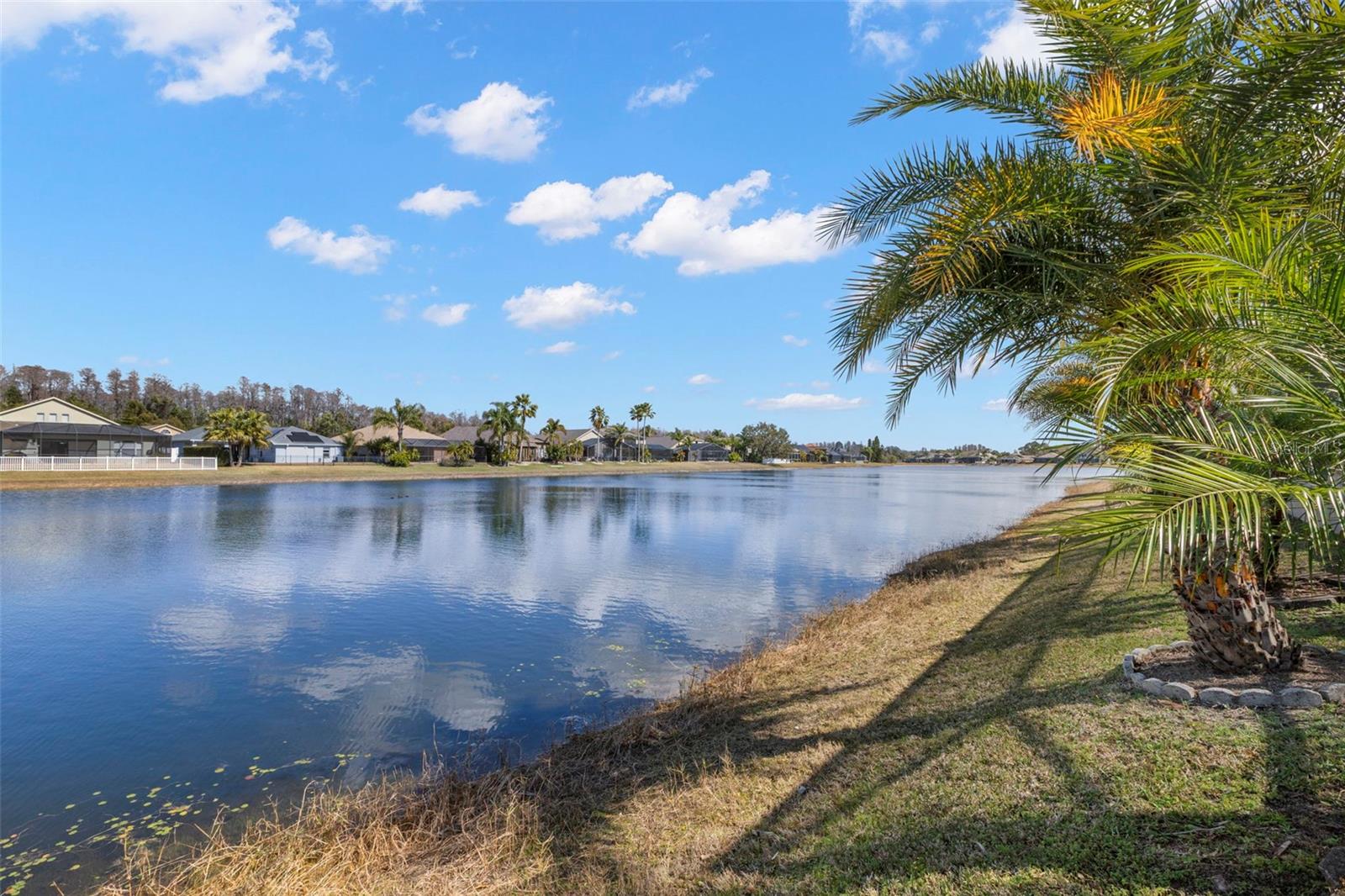 Image 23 of 55 For Address Not Provided