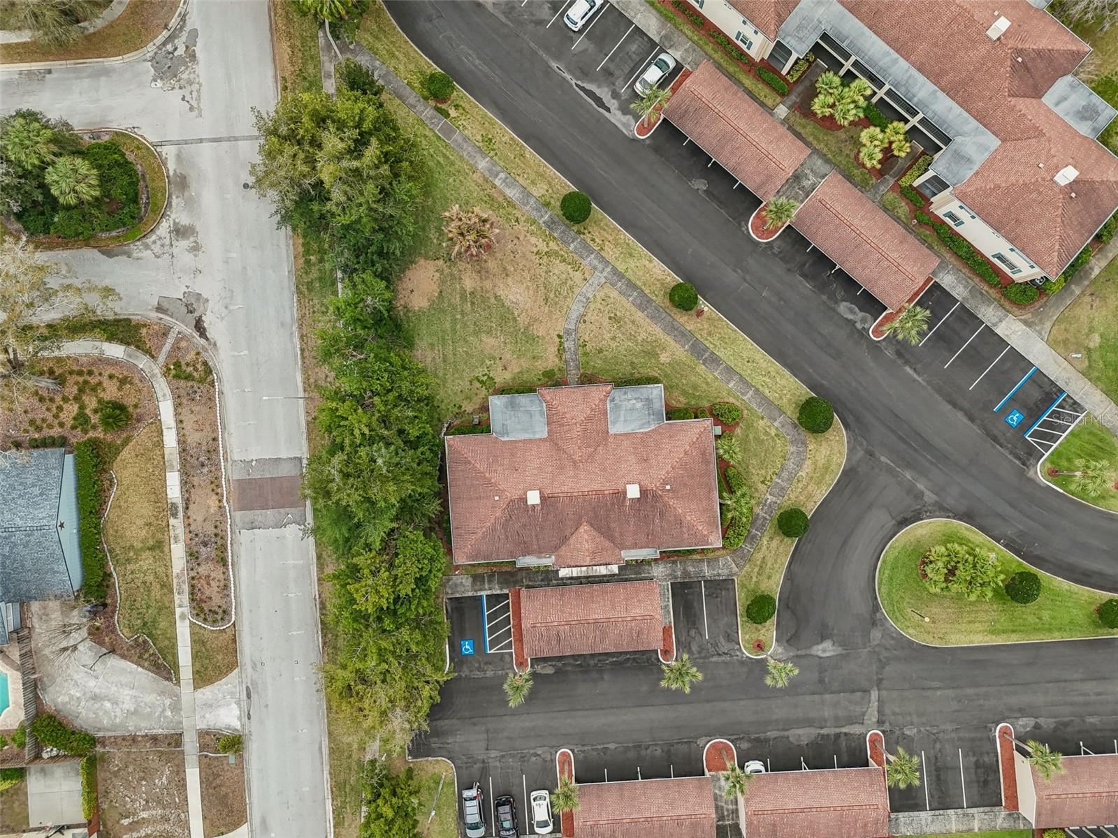 Image 30 of 39 For 10375 Carrollwood Lane 332