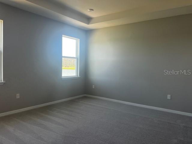 Image 40 of 57 For 3260 Tucson Wind Place