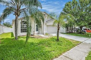Details for 10039 Creek Bluff Drive, RIVERVIEW, FL 33578