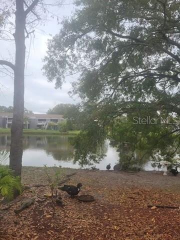 Image 5 of 18 For 4011 Muriel Place 1c