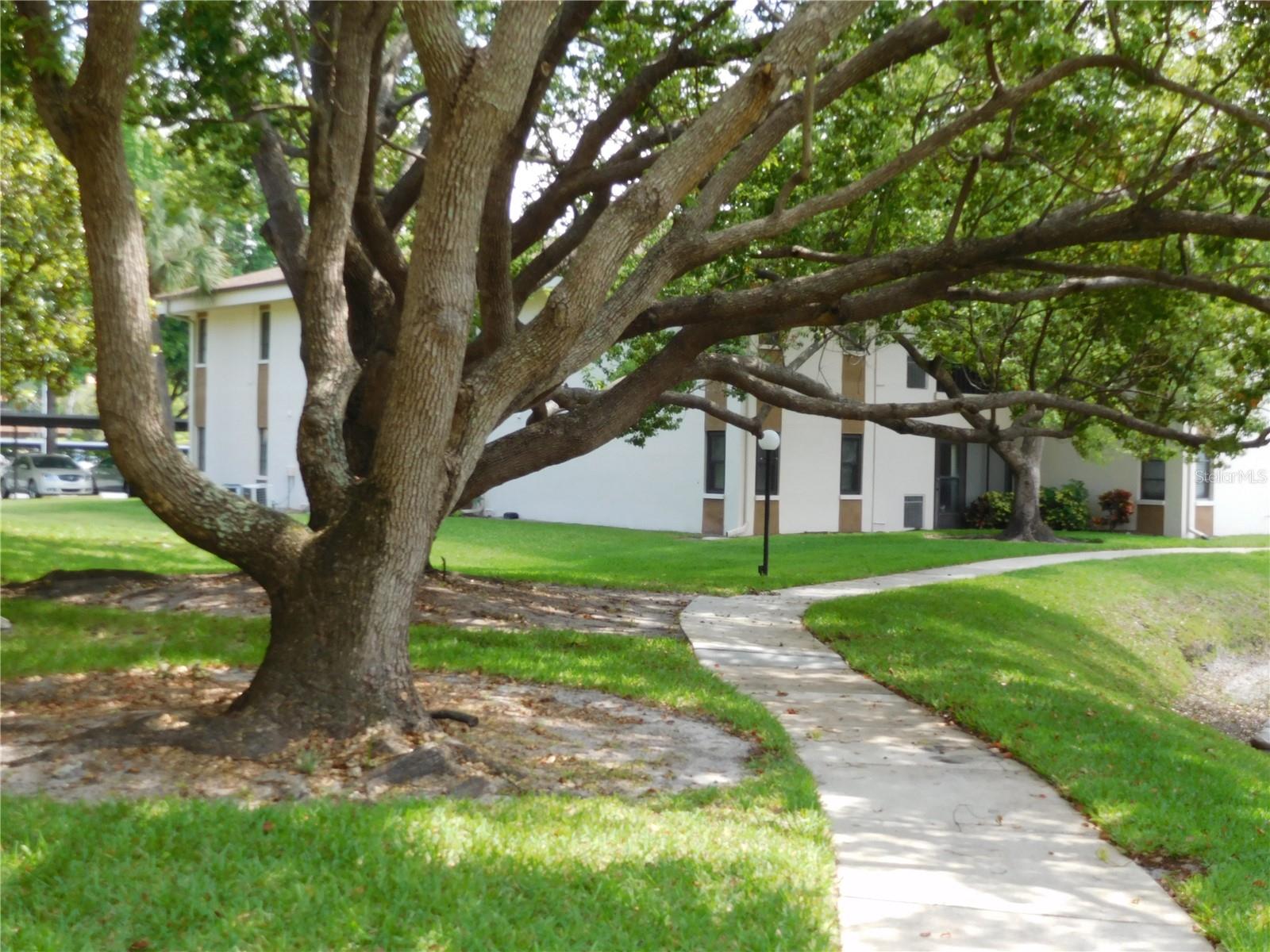 Image 21 of 21 For 2700 Nebraska Avenue 1-205