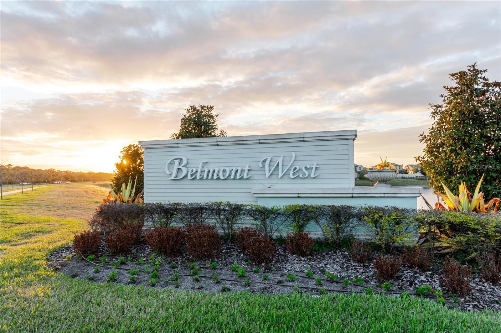 Image 2 of 41 For 9411 Lemon Drop Loop