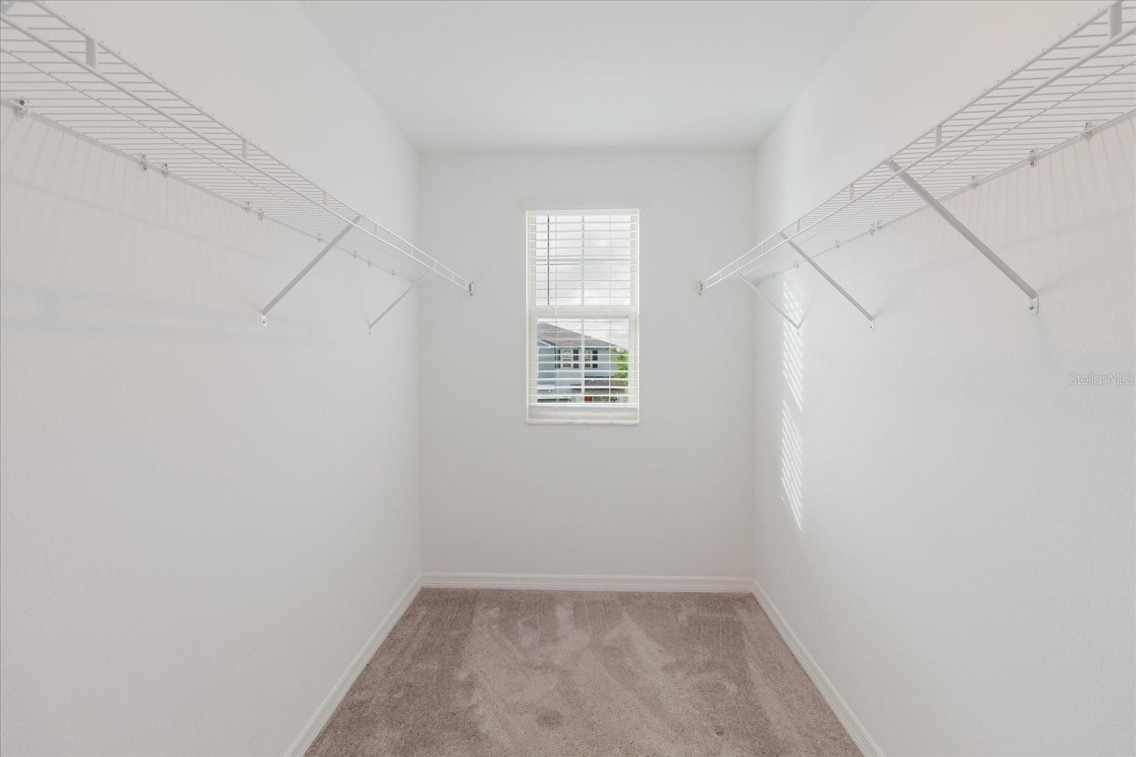 Image 23 of 41 For 9411 Lemon Drop Loop