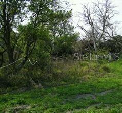 Listing photo id 0 for 5224 Clarence Gordon Junior Road