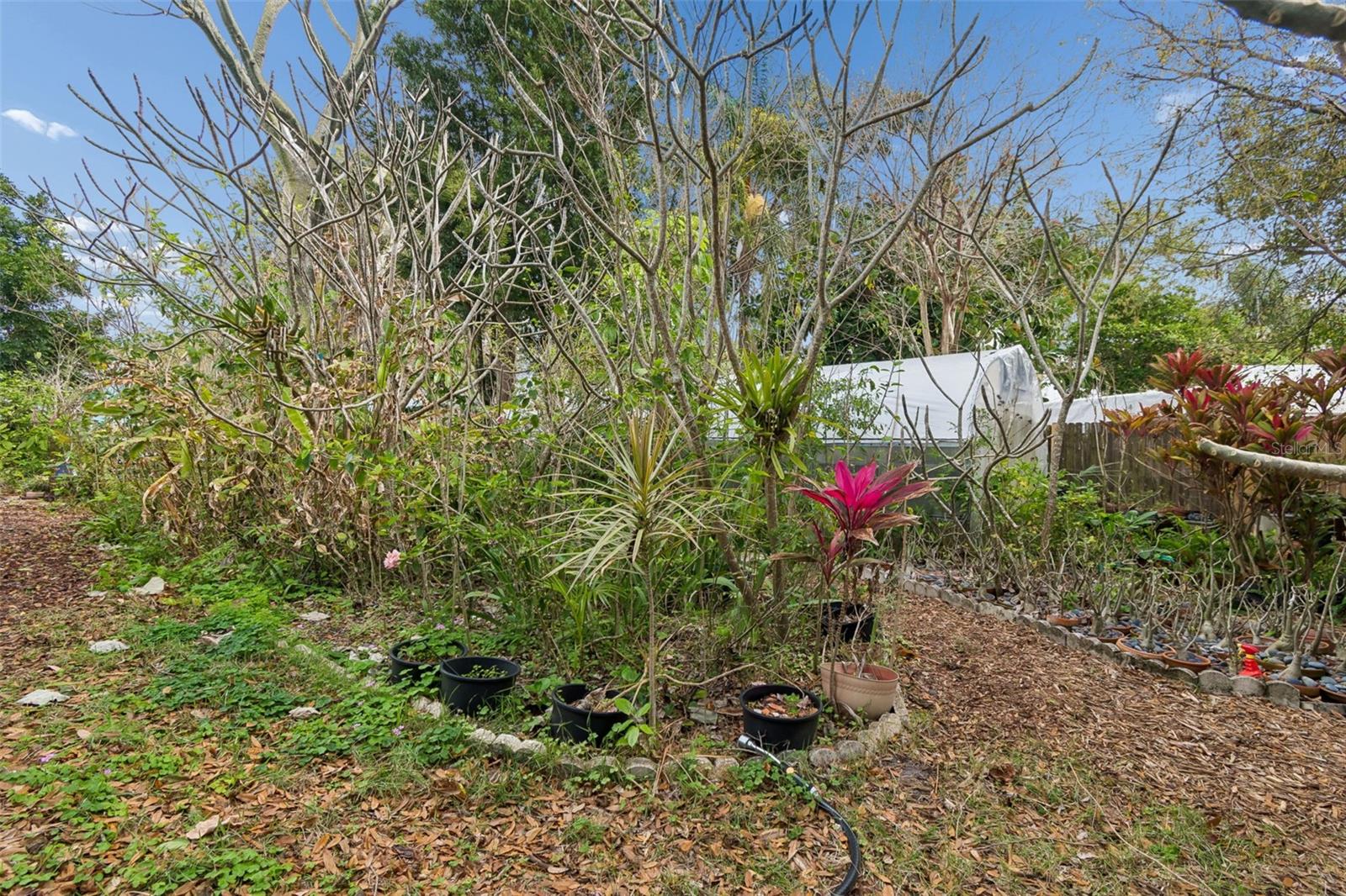 Image 56 of 63 For 606 Grovewood Lane