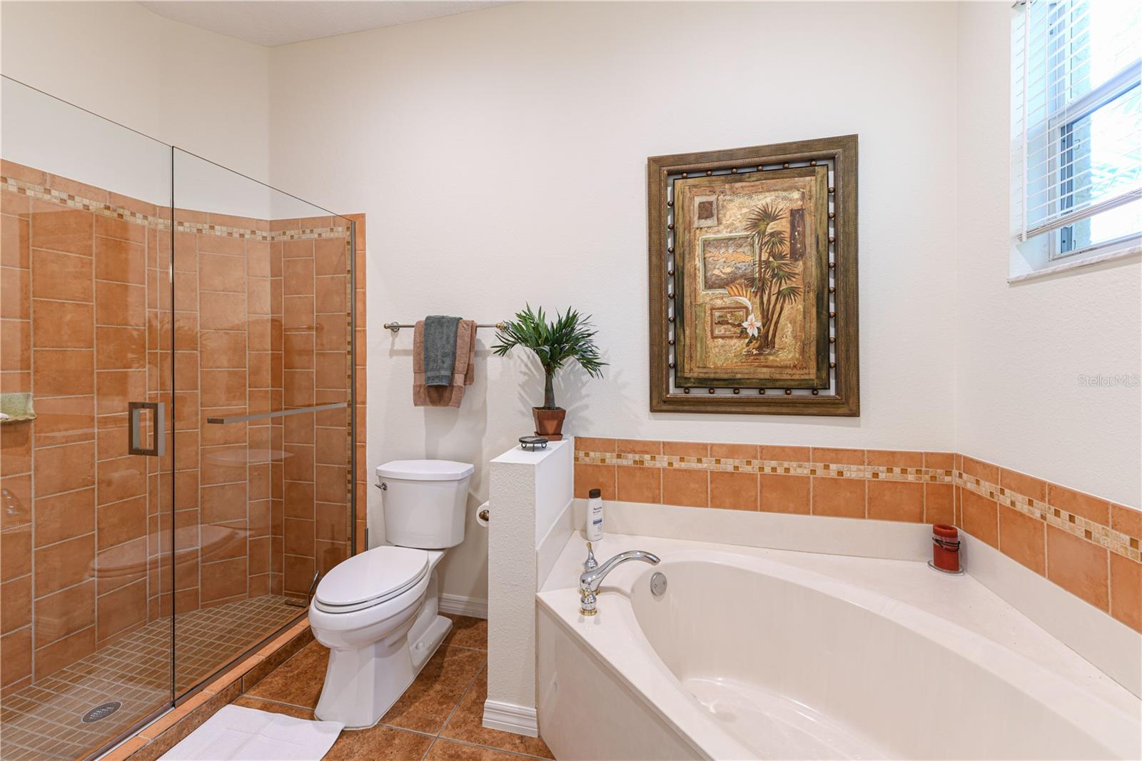 Image 10 of 20 For 156 Tall Trees Court