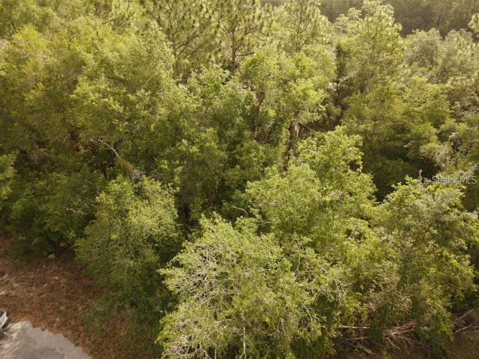 Image 11 of 24 For 13431 Flagstaff Drive