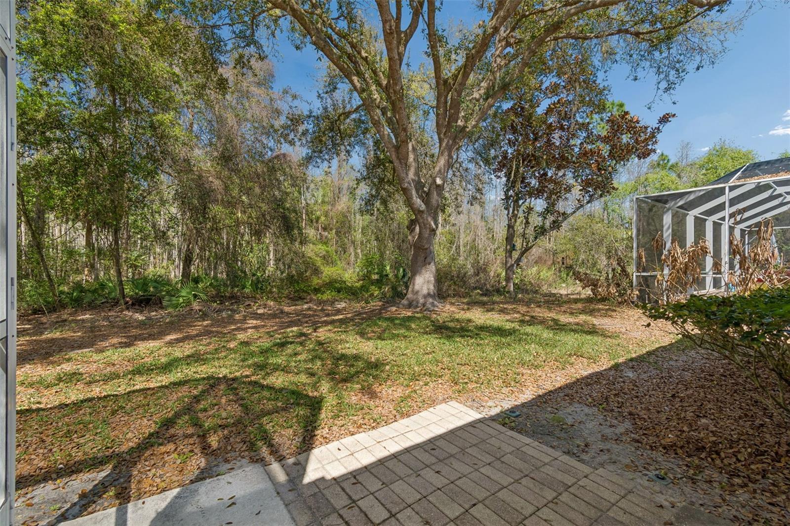 Image 63 of 78 For 10162 Deercliff Drive