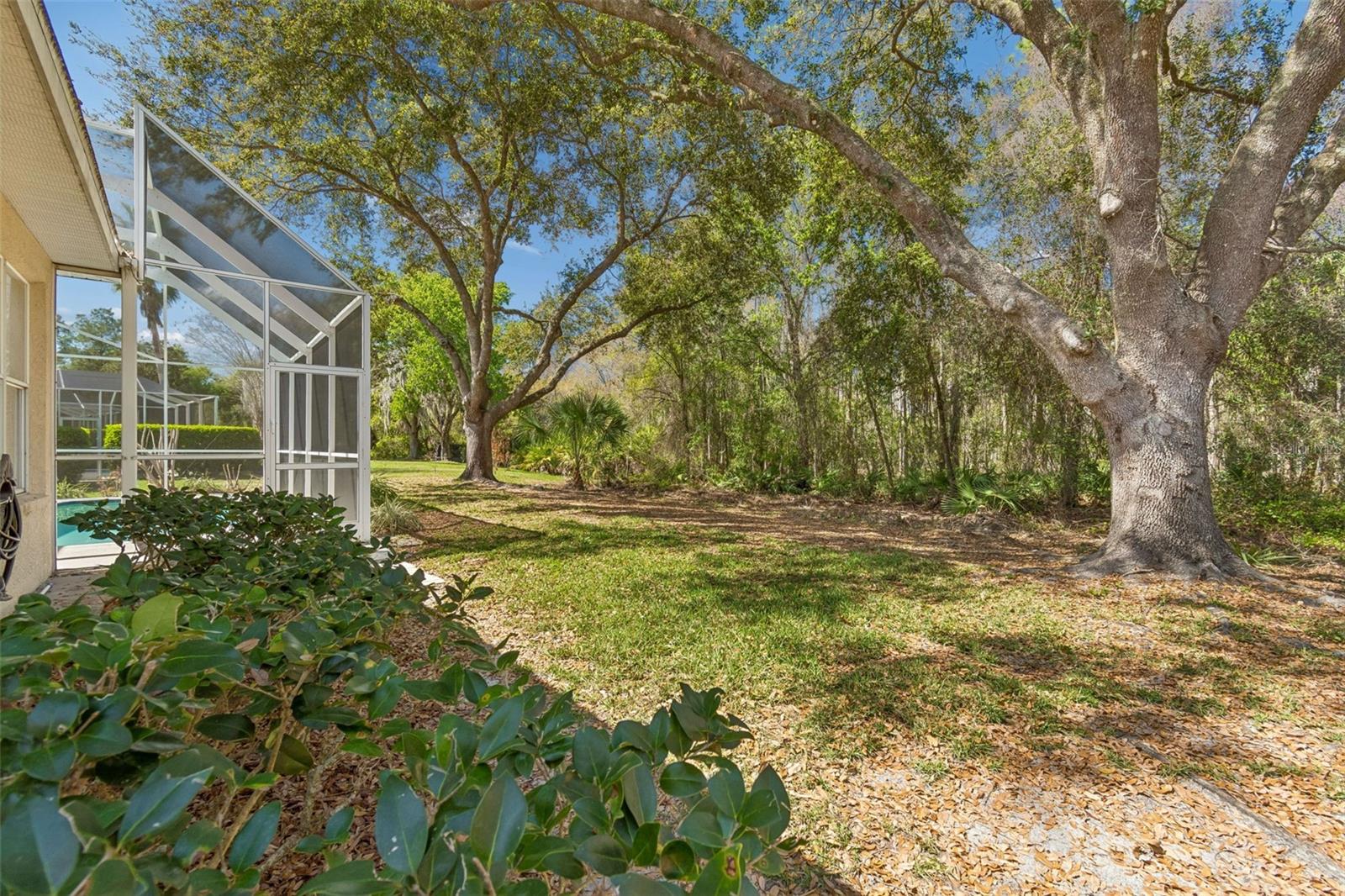 Image 64 of 78 For 10162 Deercliff Drive