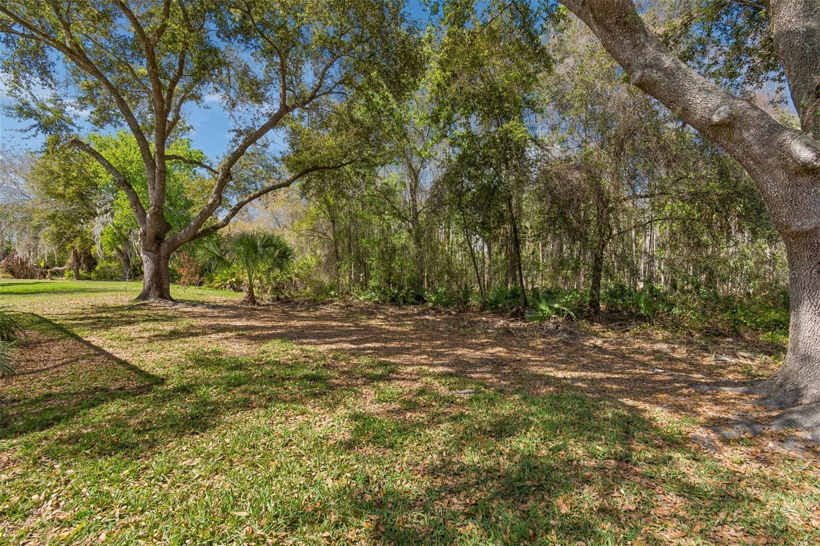 Image 65 of 78 For 10162 Deercliff Drive