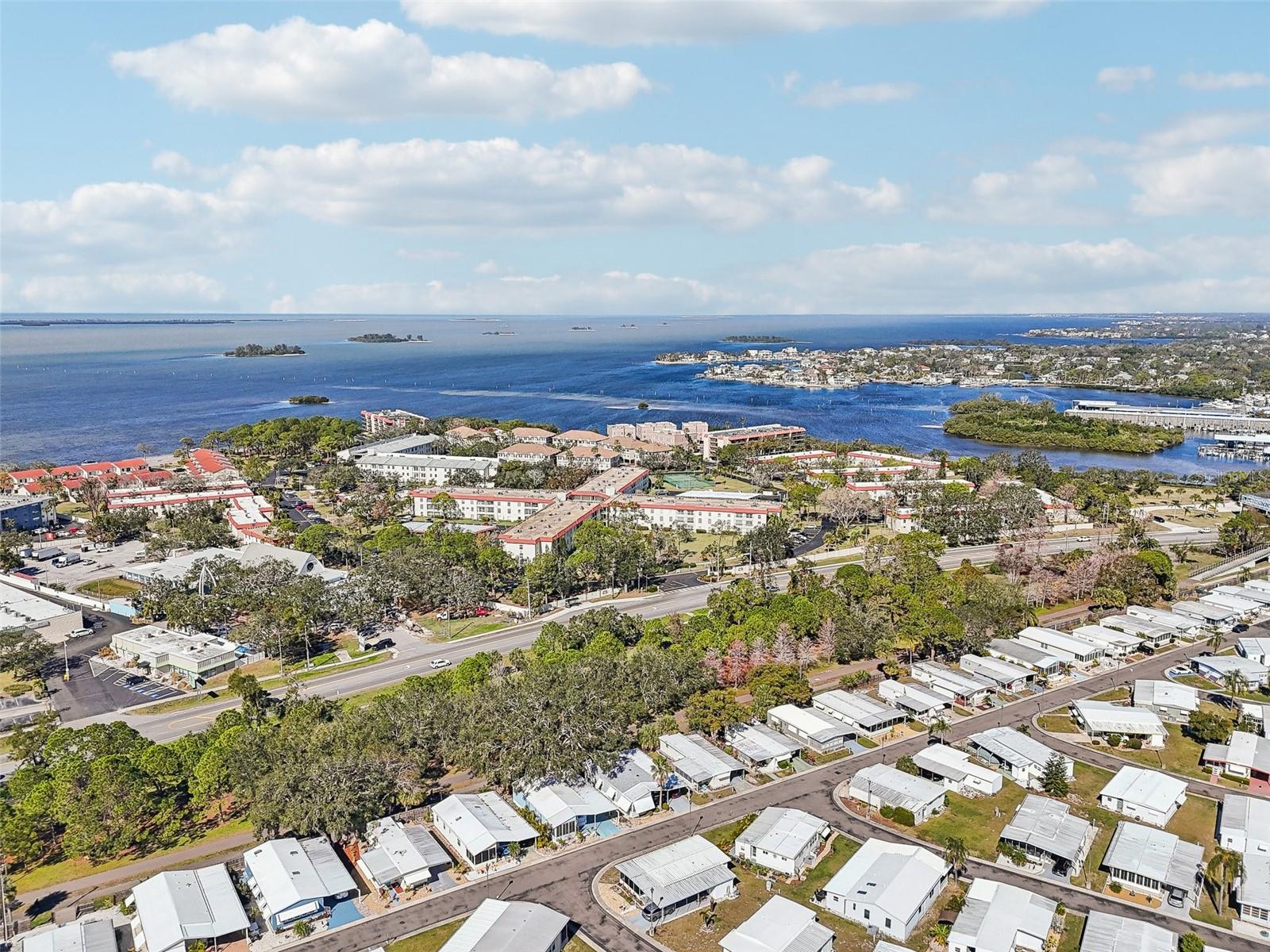 Listing photo id 43 for 2700 Bayshore Boulevard 1305