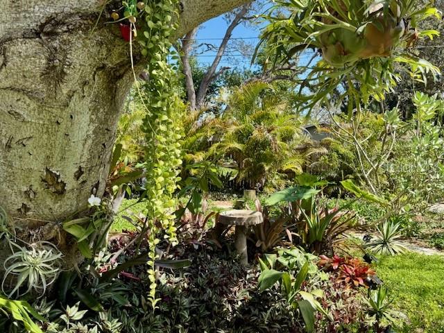 Image 44 of 54 For 1720 Scranton Street S