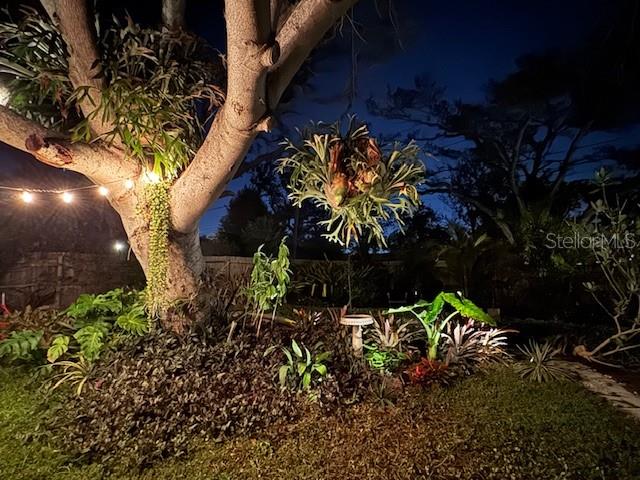 Image 49 of 54 For 1720 Scranton Street S