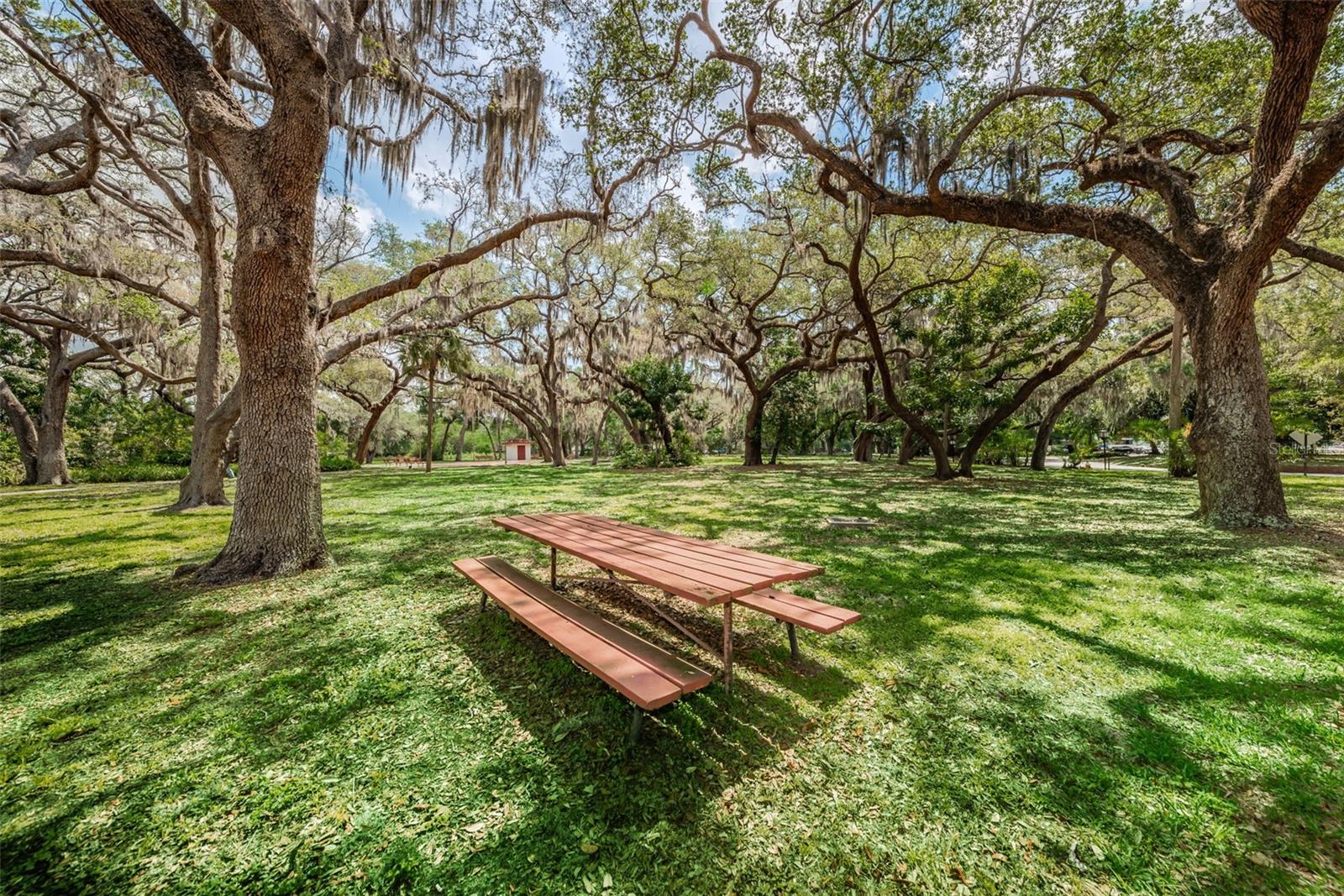 Image 42 of 64 For 1001 Pearce Drive 205