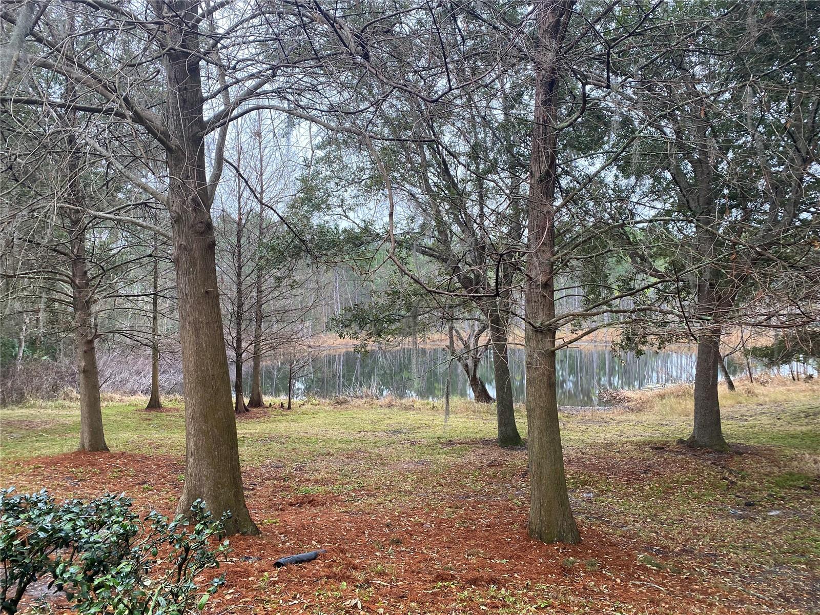 Image 3 of 12 For 870 Vineland Place