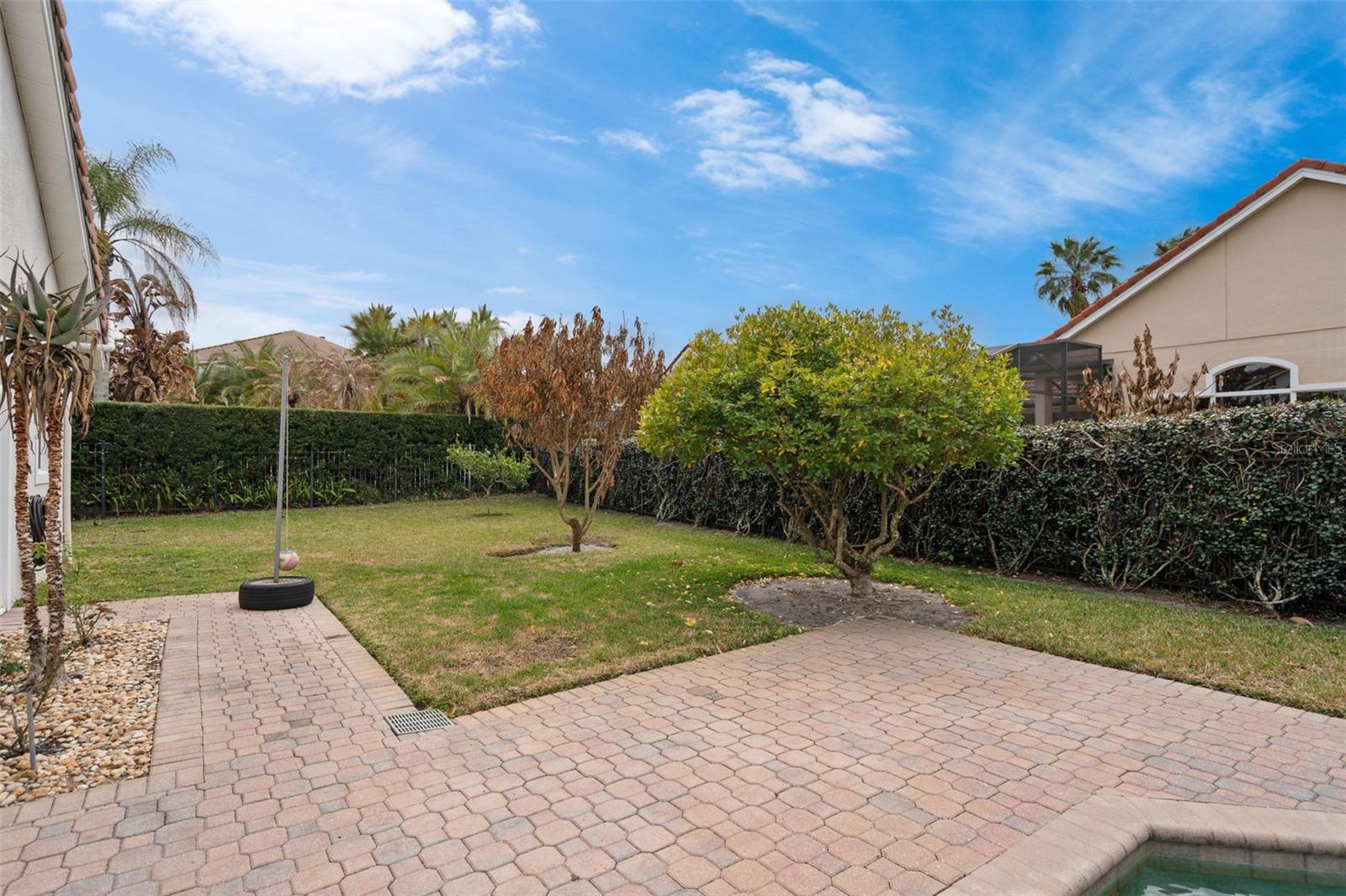 Listing photo id 45 for 1950 Elkhorn Court