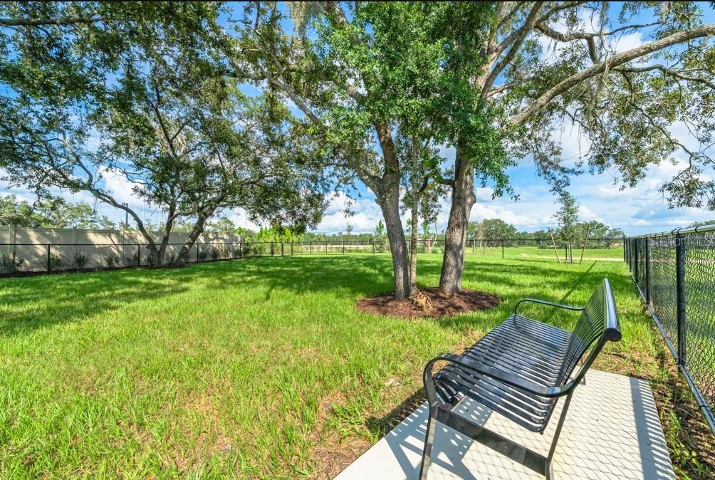 Image 42 of 43 For 12449 Whisk Court