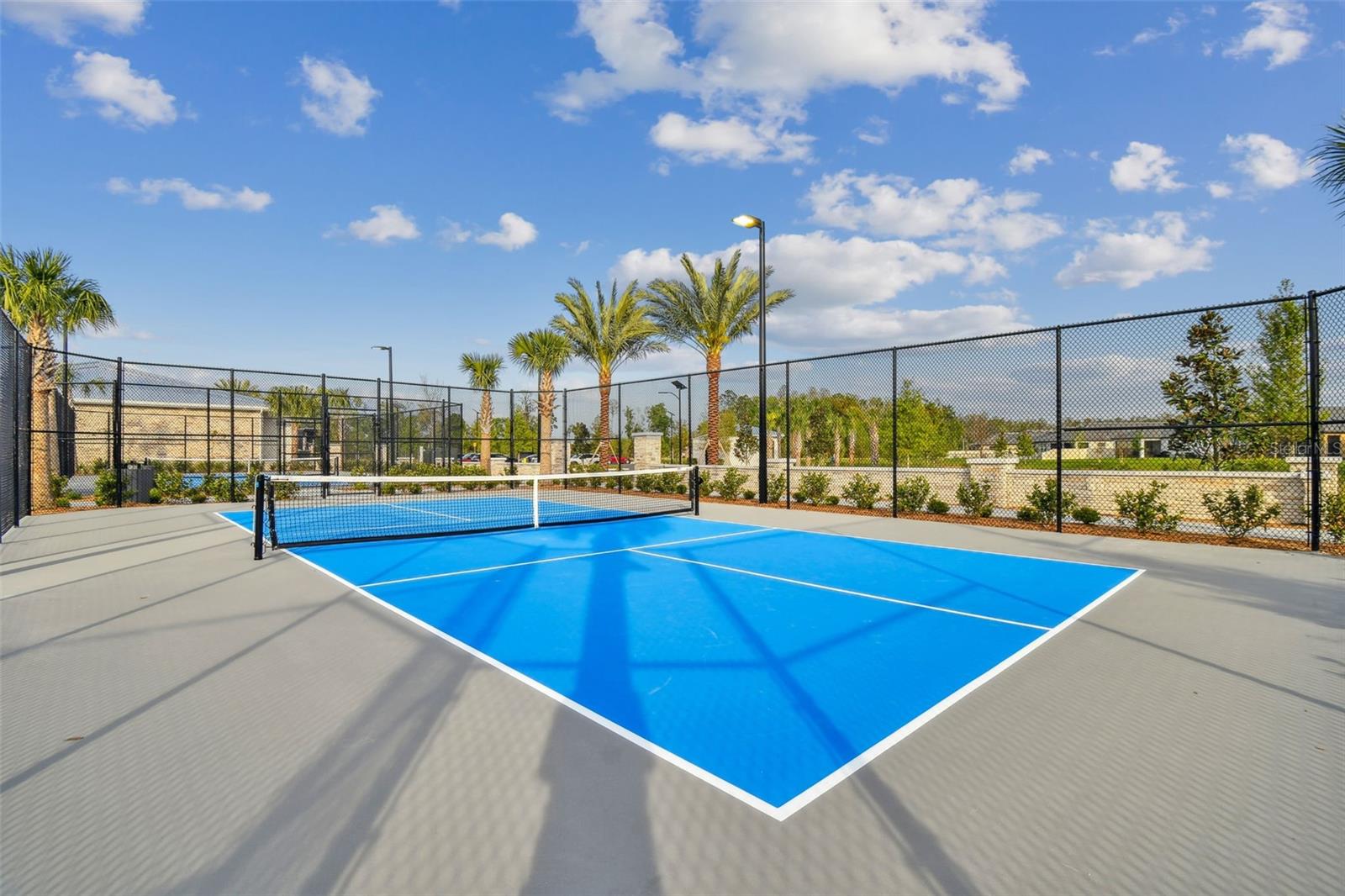 Image 46 of 56 For 11032 Crescent Deer Drive