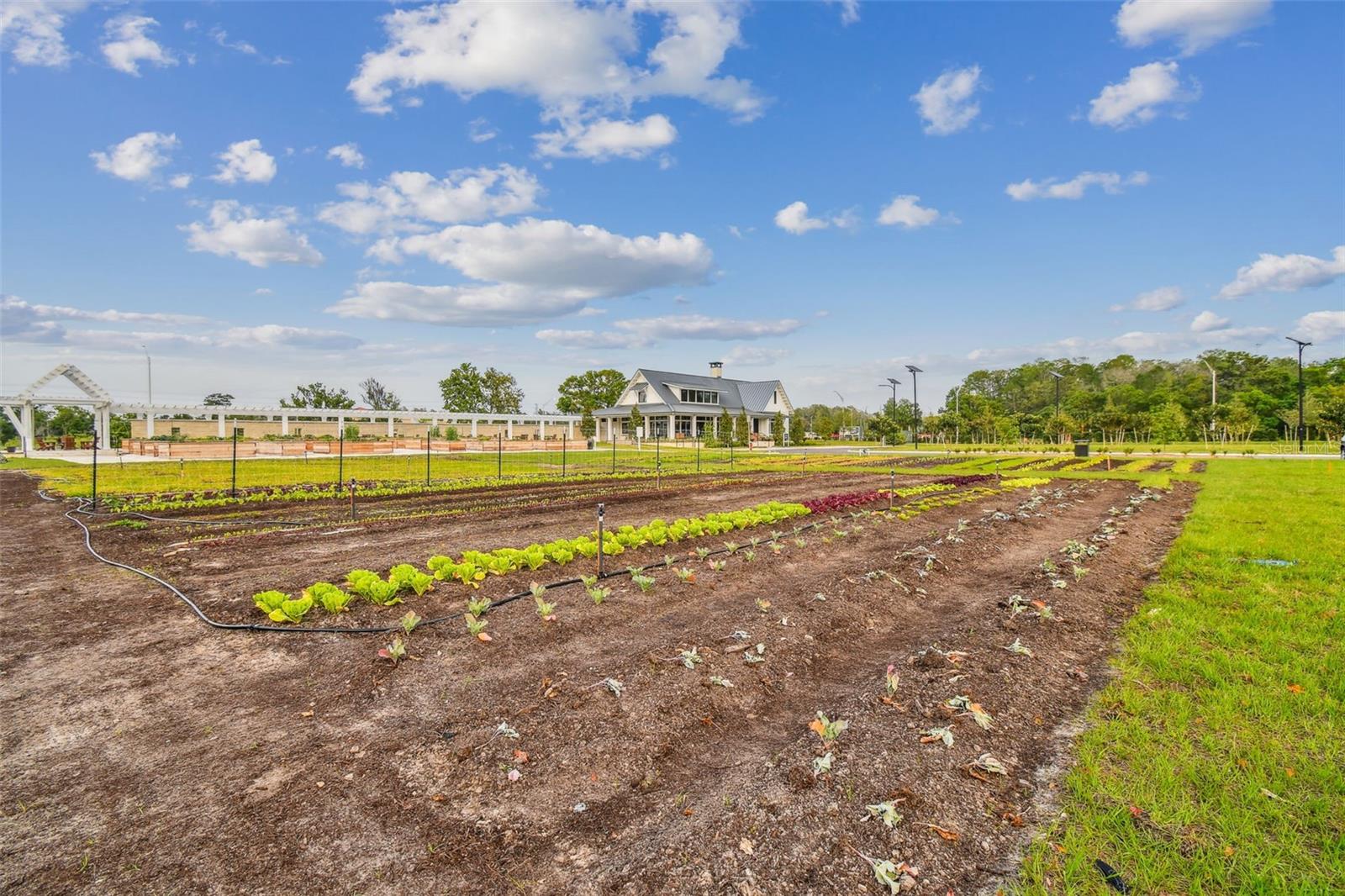 Image 54 of 56 For 11032 Crescent Deer Drive