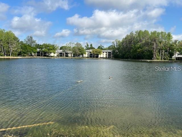 Image 28 of 30 For 3232 Lake Pine Way E C1