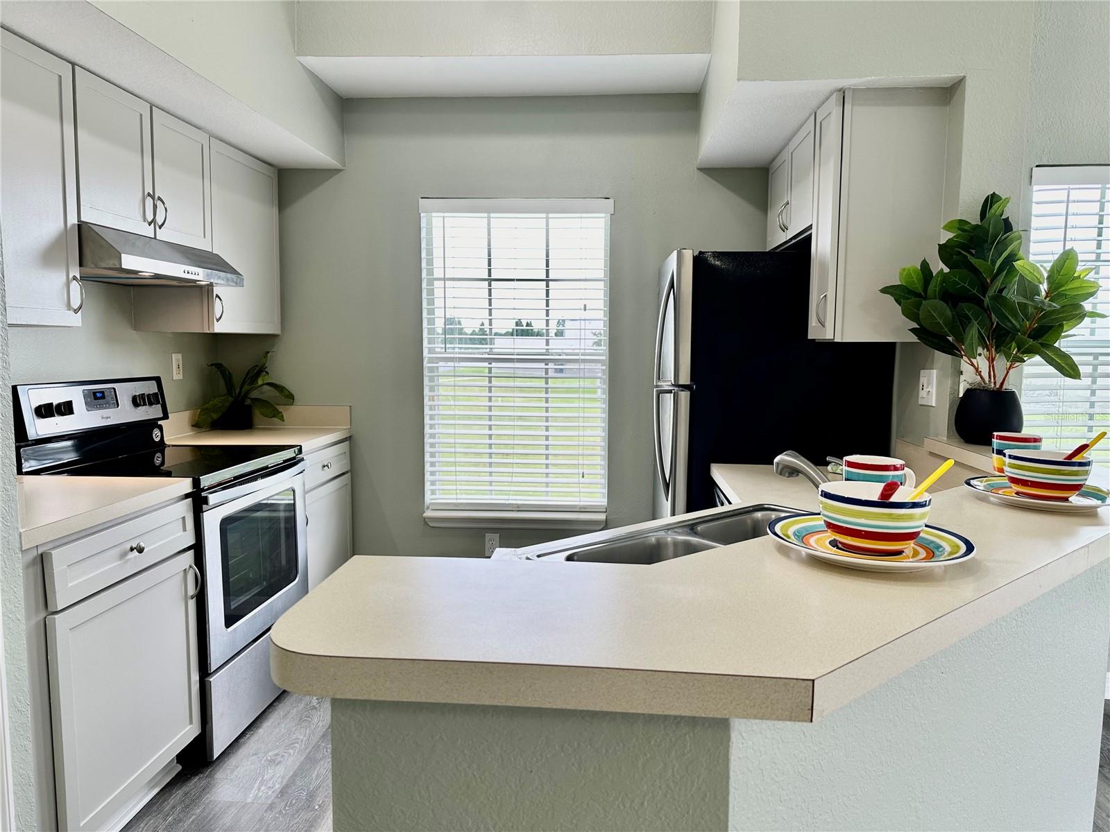 Image 3 of 27 For 10534 White Lake Court 10534