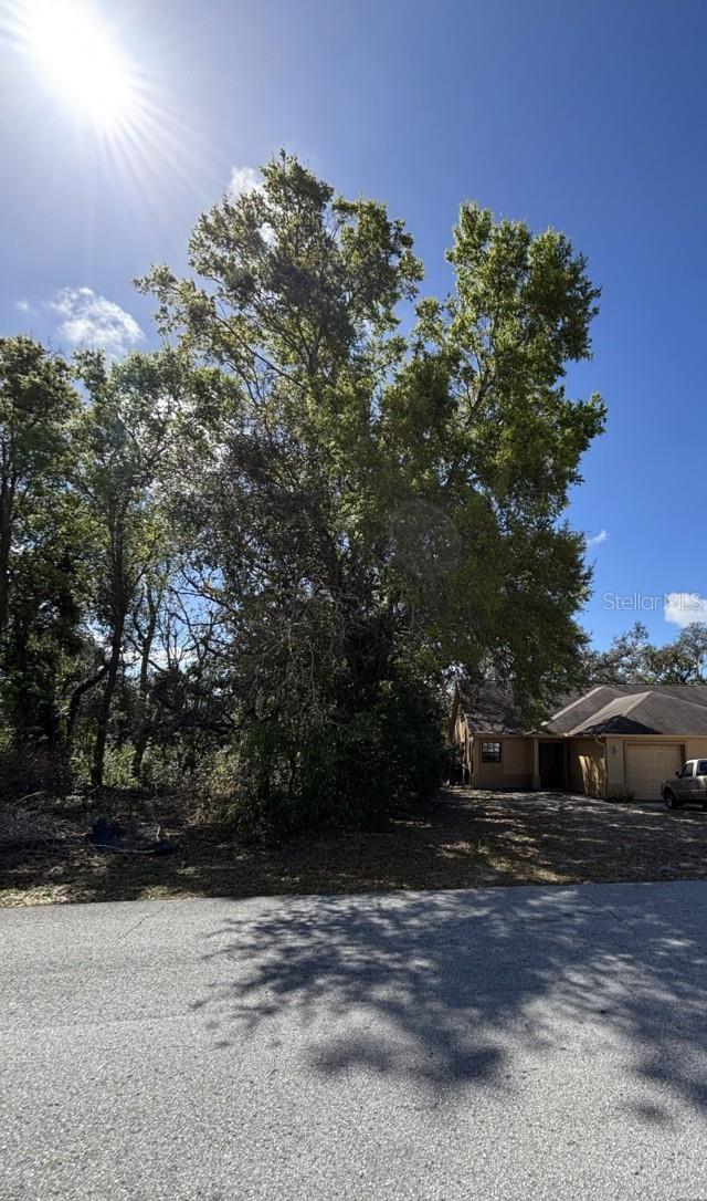 Image 2 of 2 For Canterbury Street