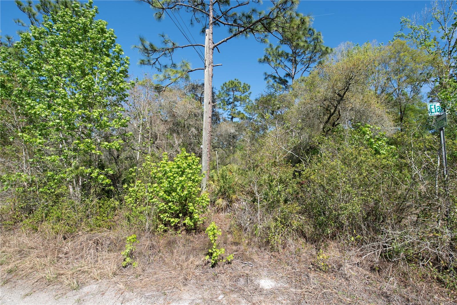 Image 2 of 7 For 12934 Tanner Road