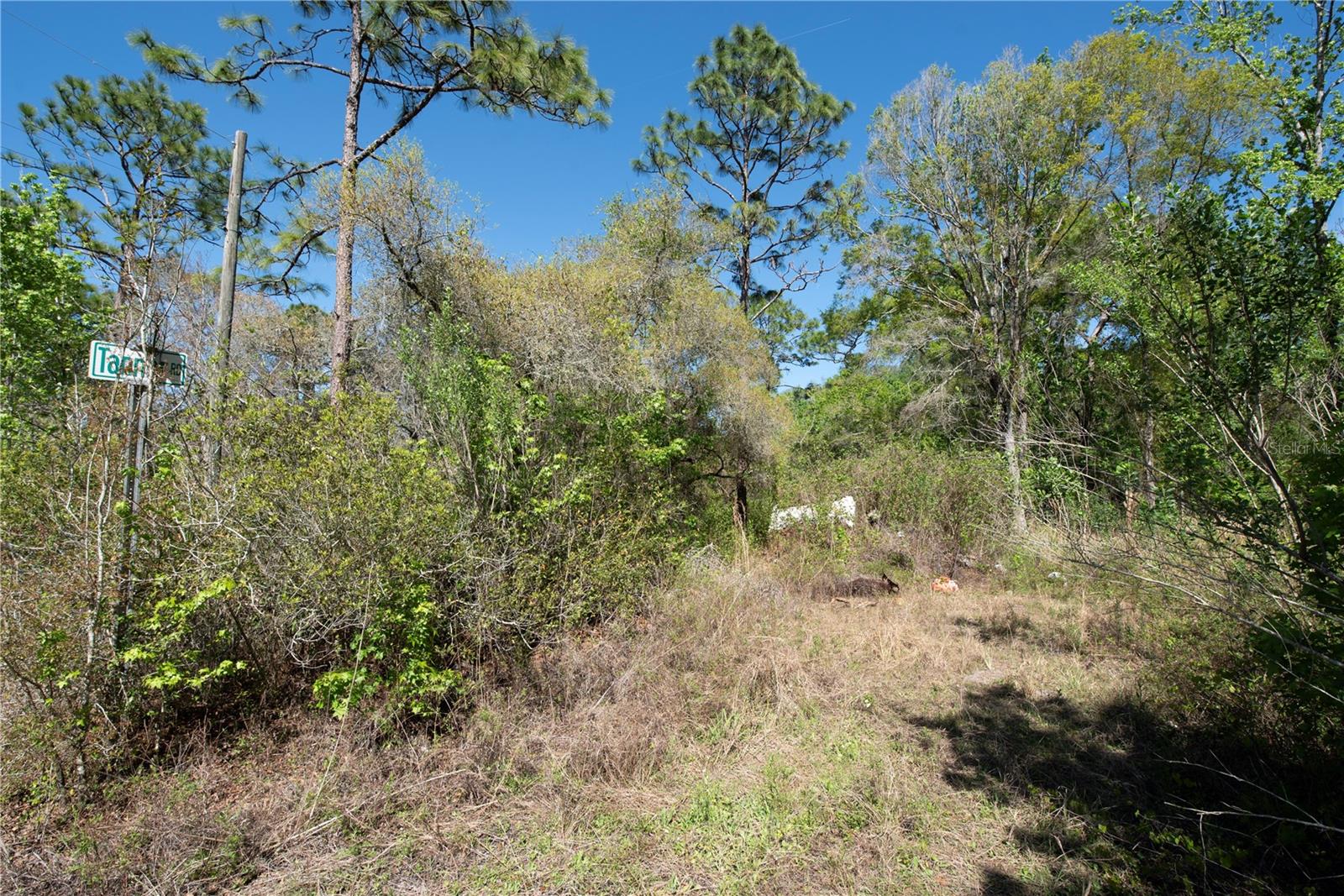 Image 3 of 7 For 12934 Tanner Road