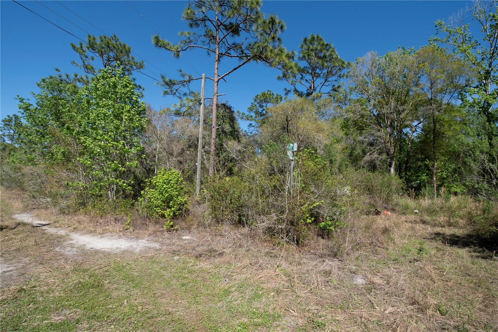 Image 4 of 7 For 12934 Tanner Road