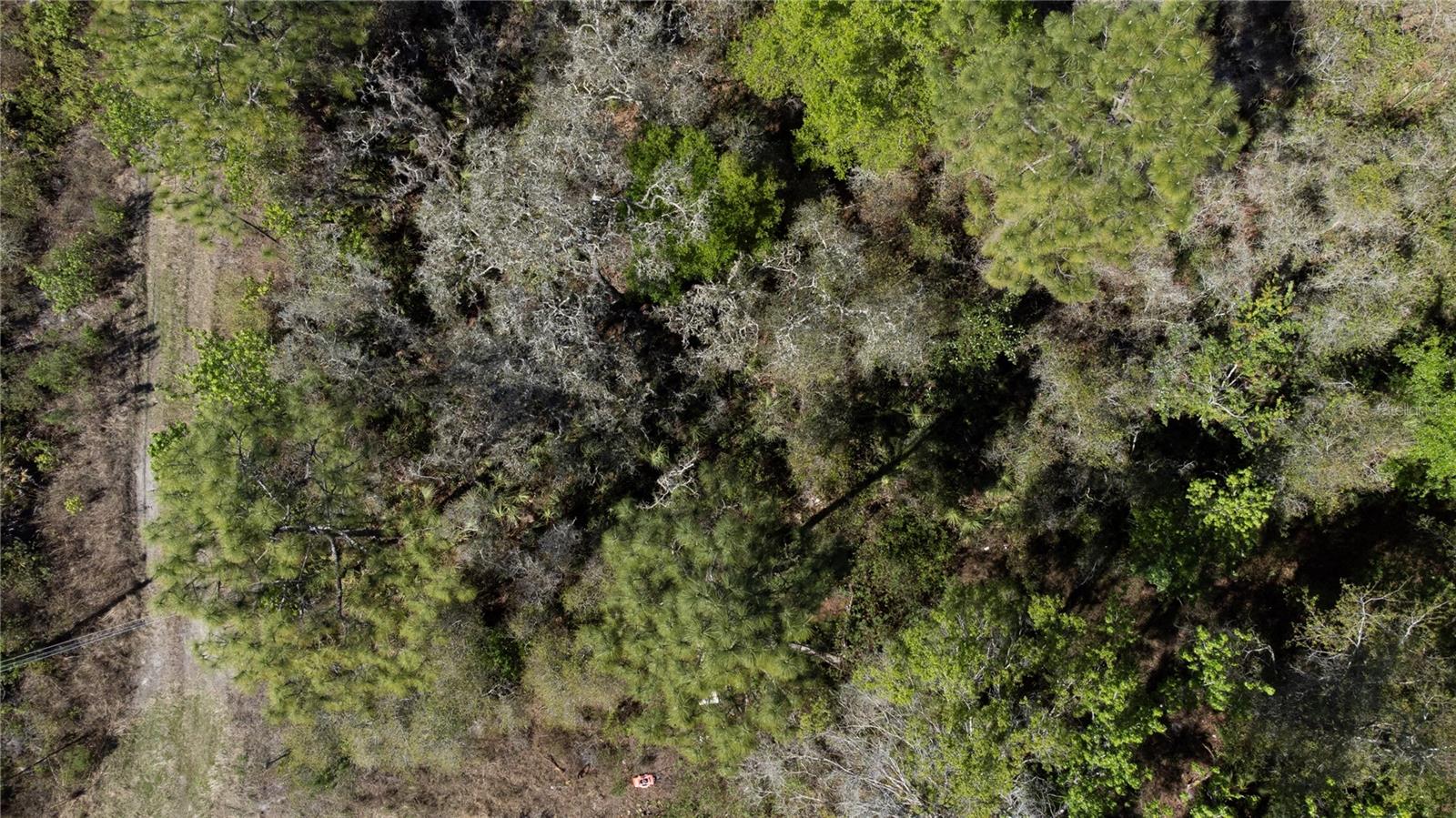 Image 7 of 7 For 12934 Tanner Road