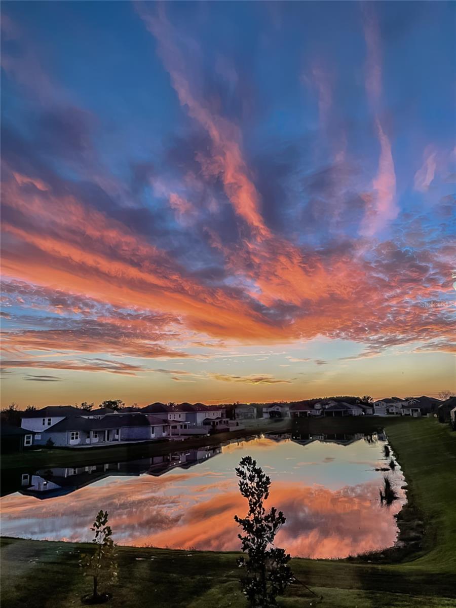 Listing photo id 55 for 31030 Parrot Reef Court