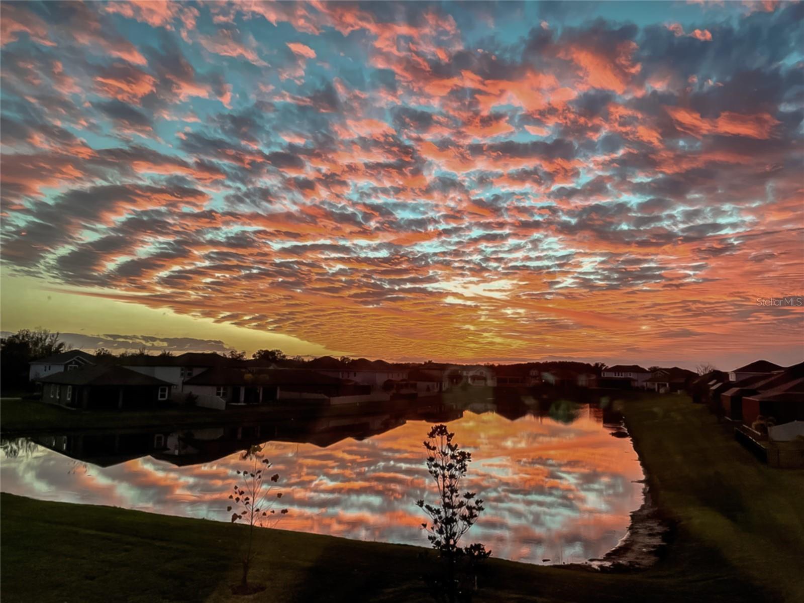 Listing photo id 57 for 31030 Parrot Reef Court