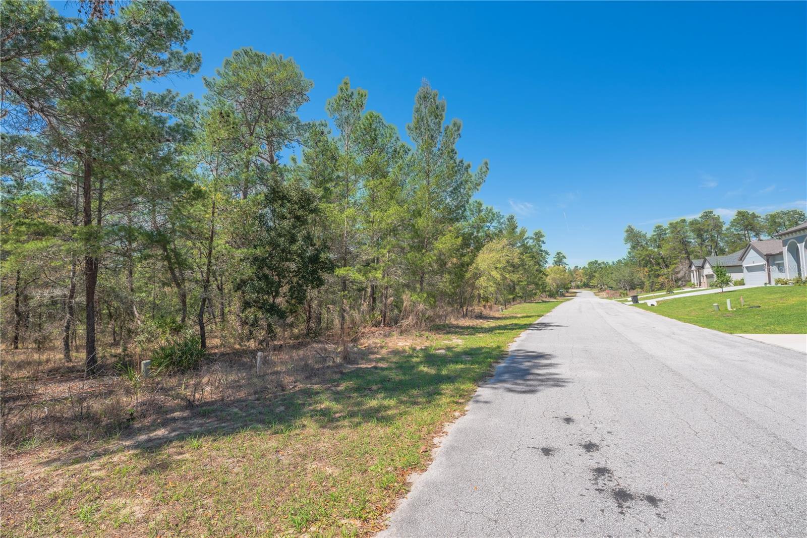 Image 11 of 13 For 8 Heuchera Court E