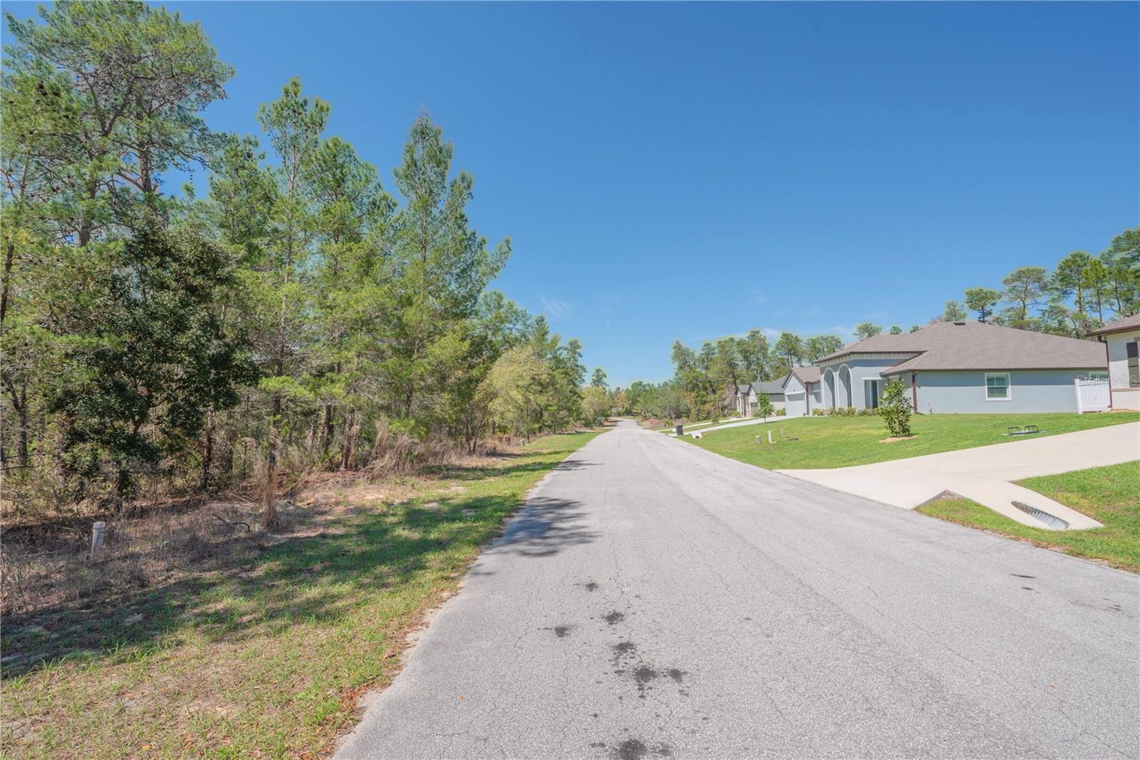 Image 12 of 13 For 8 Heuchera Court E