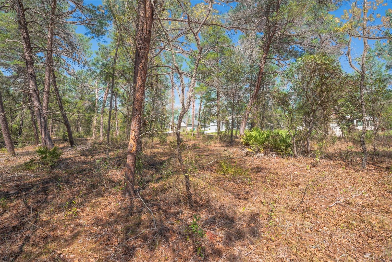 Image 6 of 13 For 8 Heuchera Court E